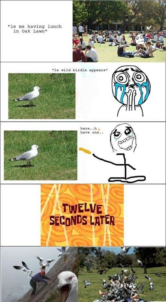 Attack The Human He Has Food