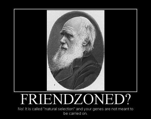 Friendzone Explained