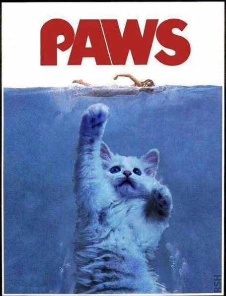 When You Hear The Music Run