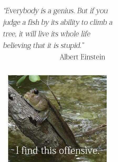 I Find This Offensive