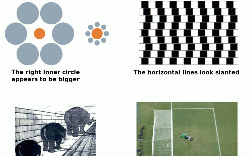 Amazing Optical Illusions