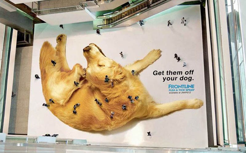 Dog People Look Like Fleas Ticks From Above